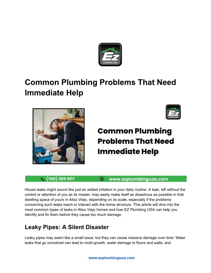 common plumbing problems that need immediate help