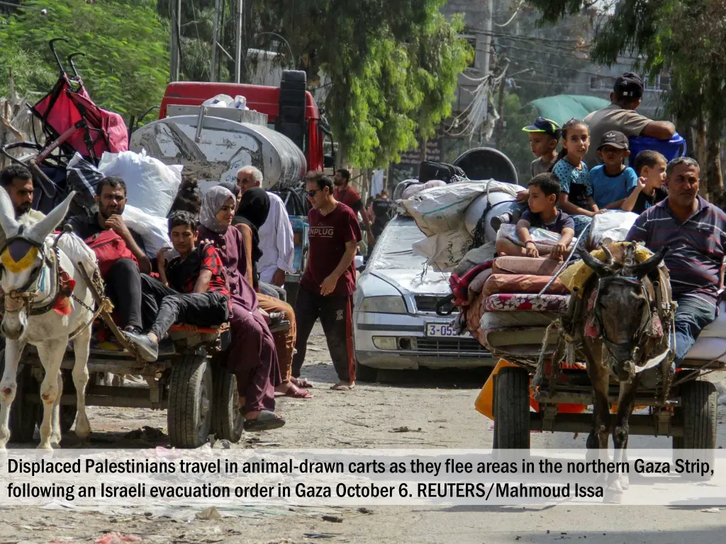 displaced palestinians travel in animal drawn