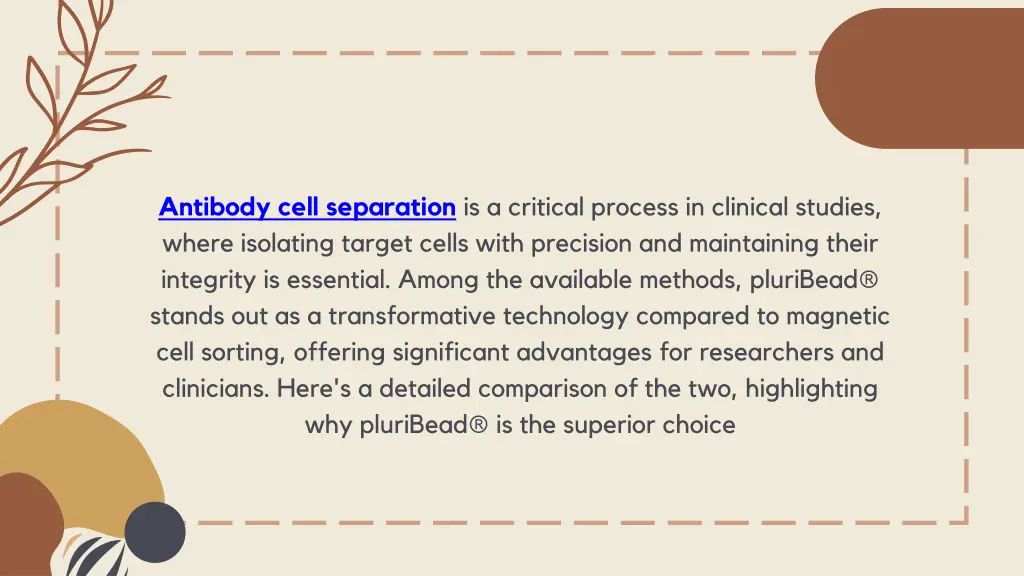 antibody cell separation is a critical process