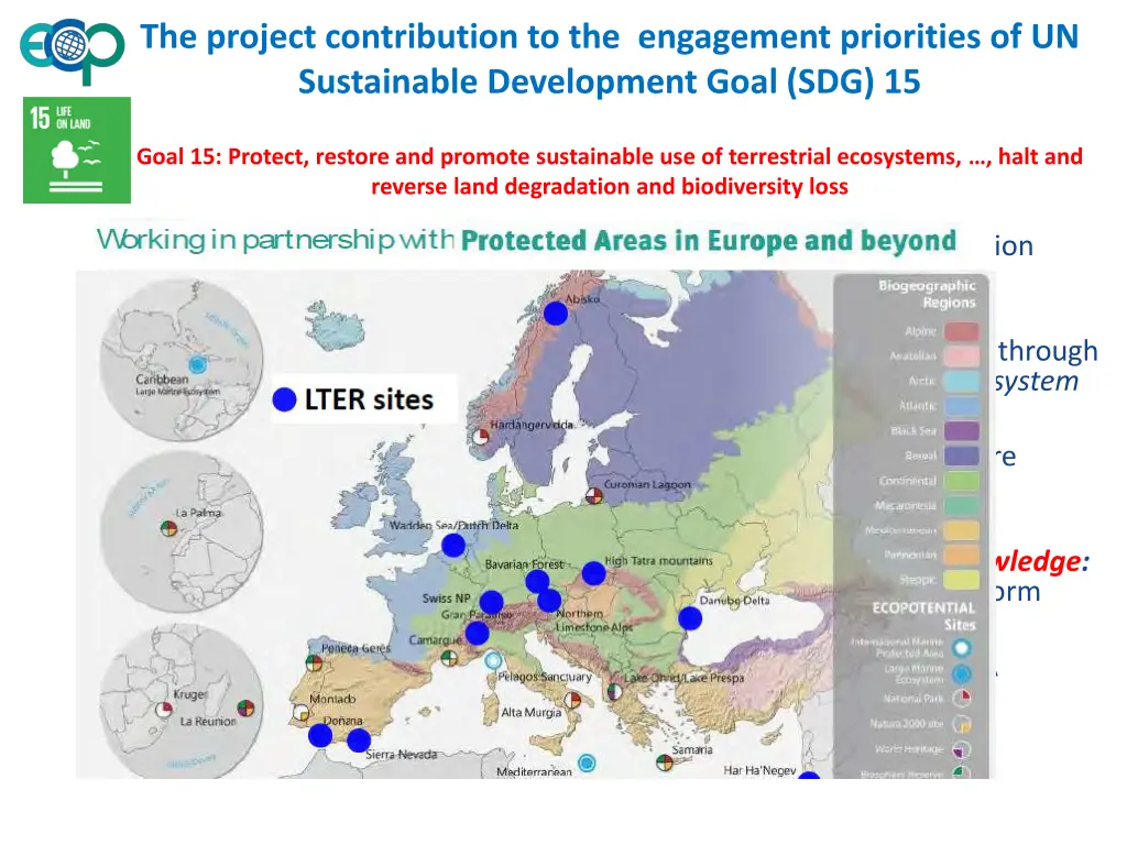 the project contribution to the engagement