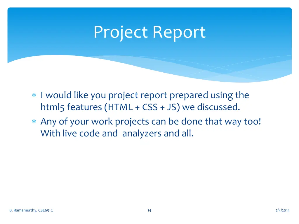 project report