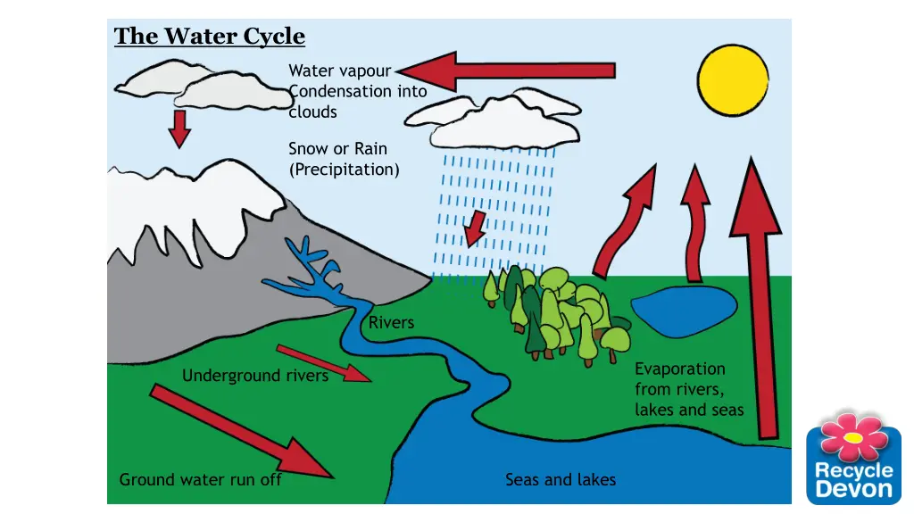 the water cycle