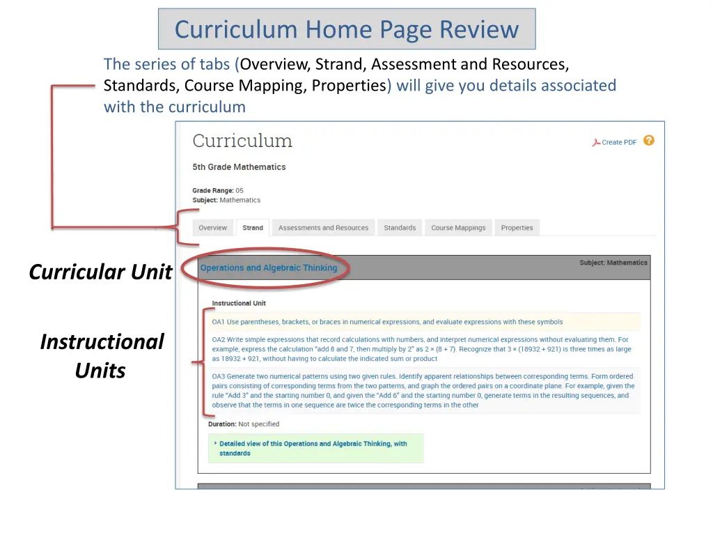 curriculum home page review