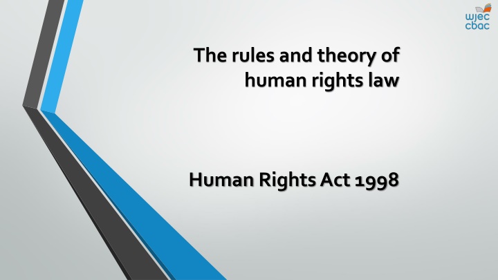 the rules and theory of human rights law