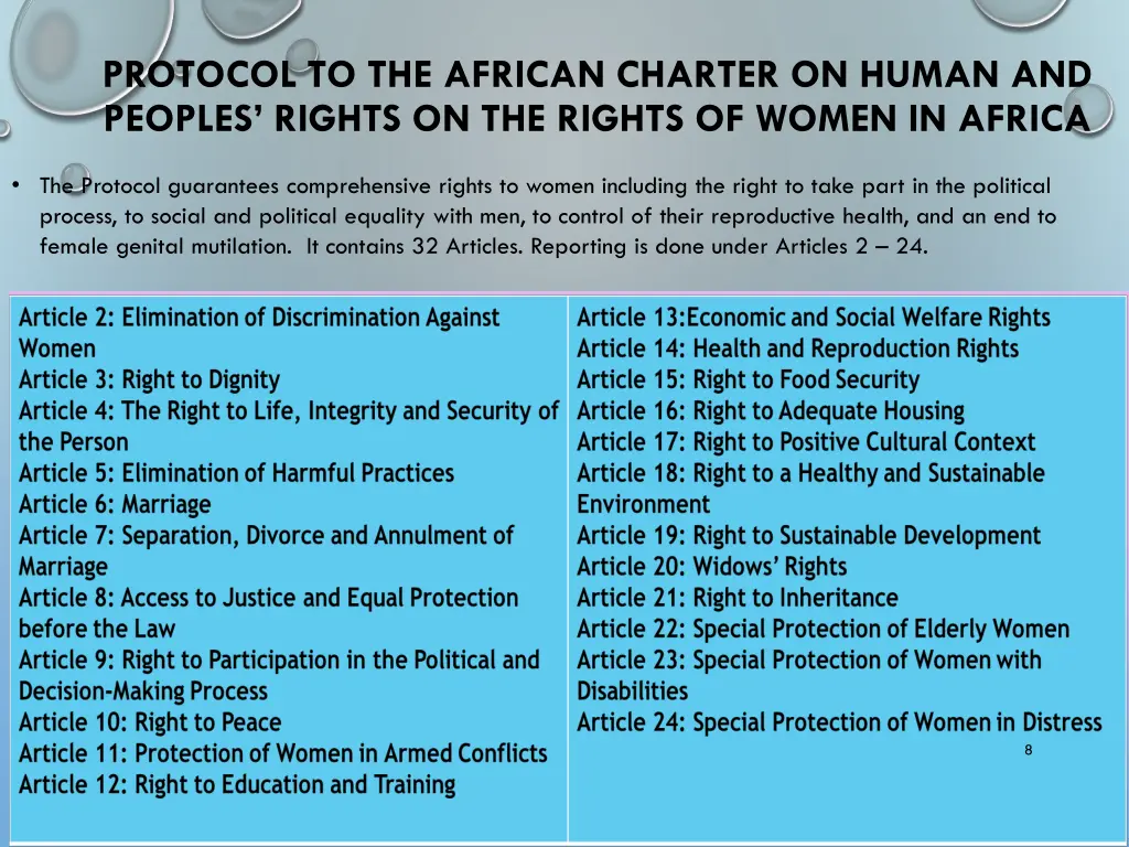 protocol to the african charter on human 2