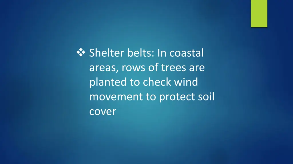 shelter belts in coastal areas rows of trees