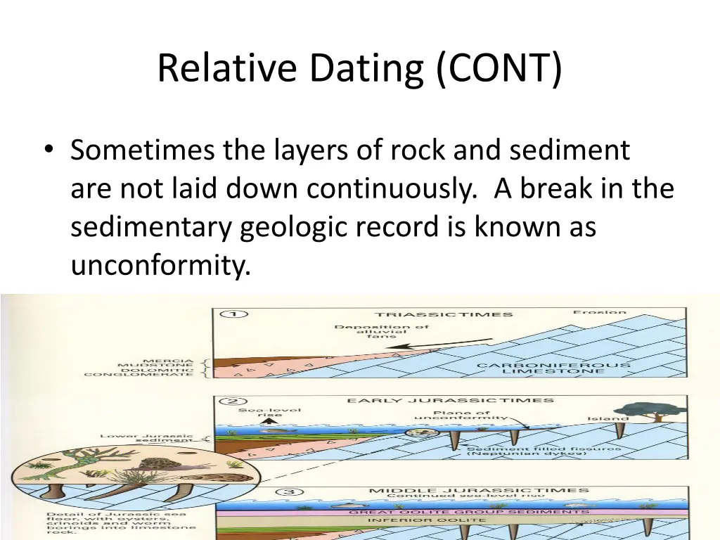 relative dating cont