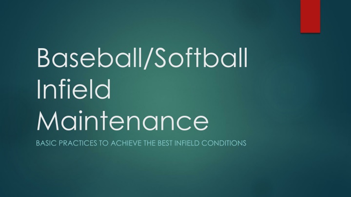 baseball softball infield maintenance basic