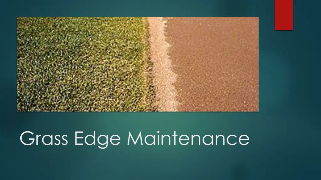 grass edge maintenance 2