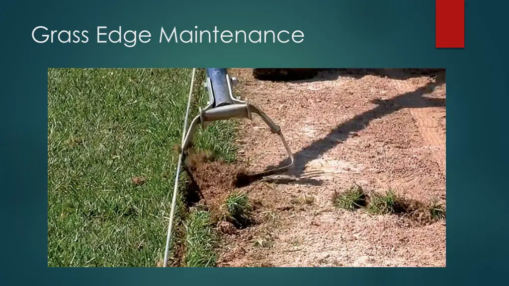 grass edge maintenance 4