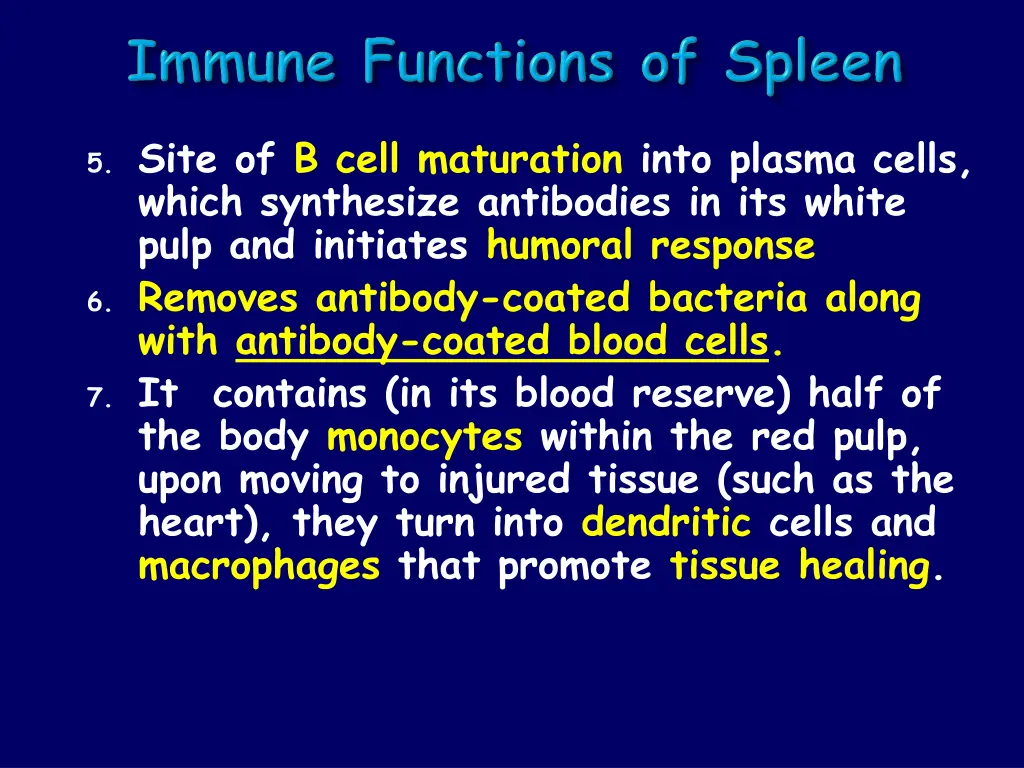 5 site of b cell maturation into plasma cells