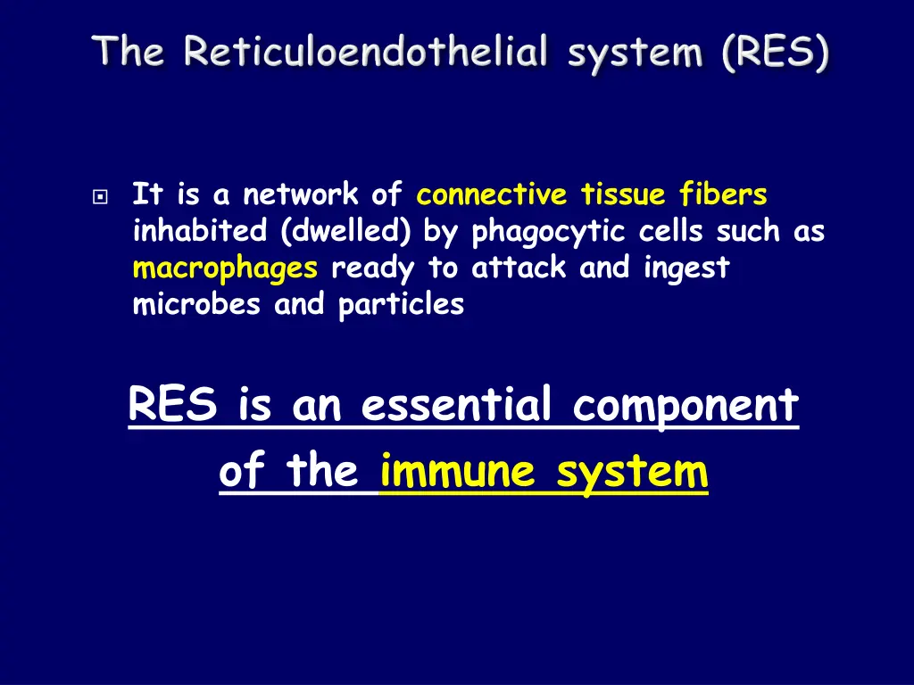 it is a network of connective tissue fibers