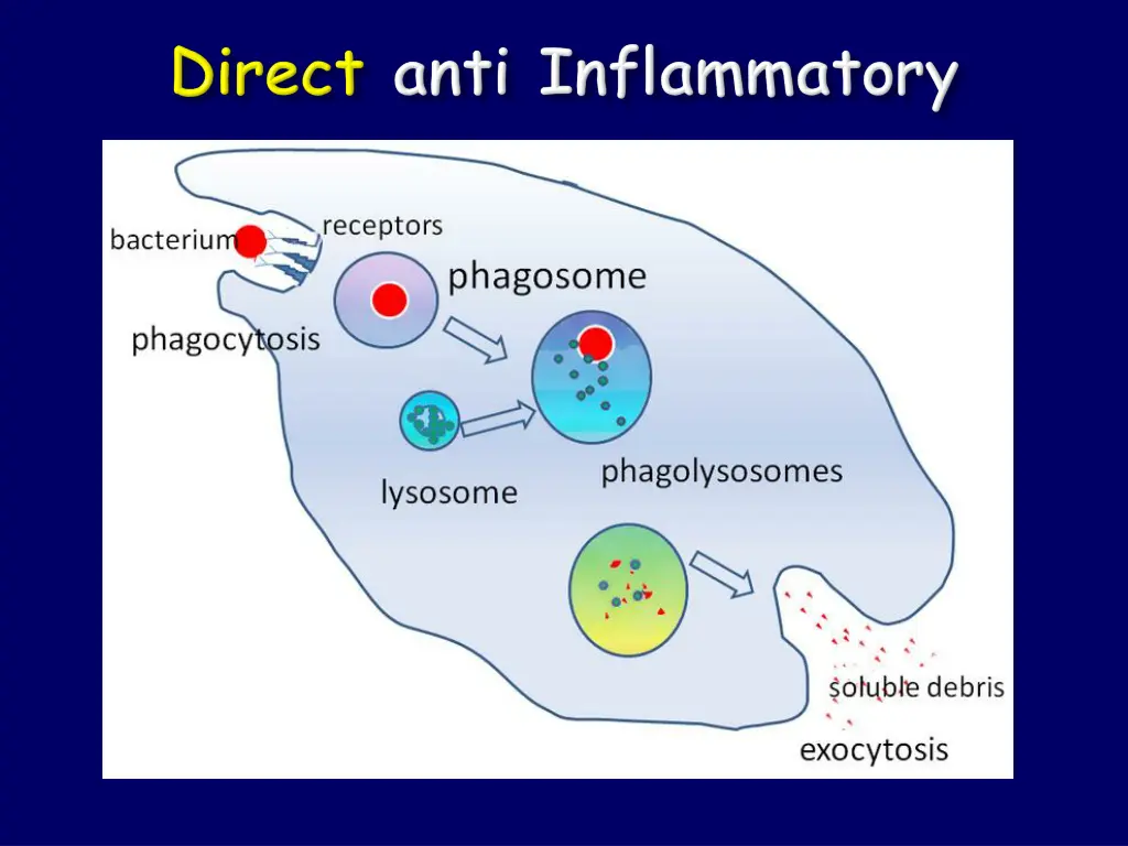 slide12