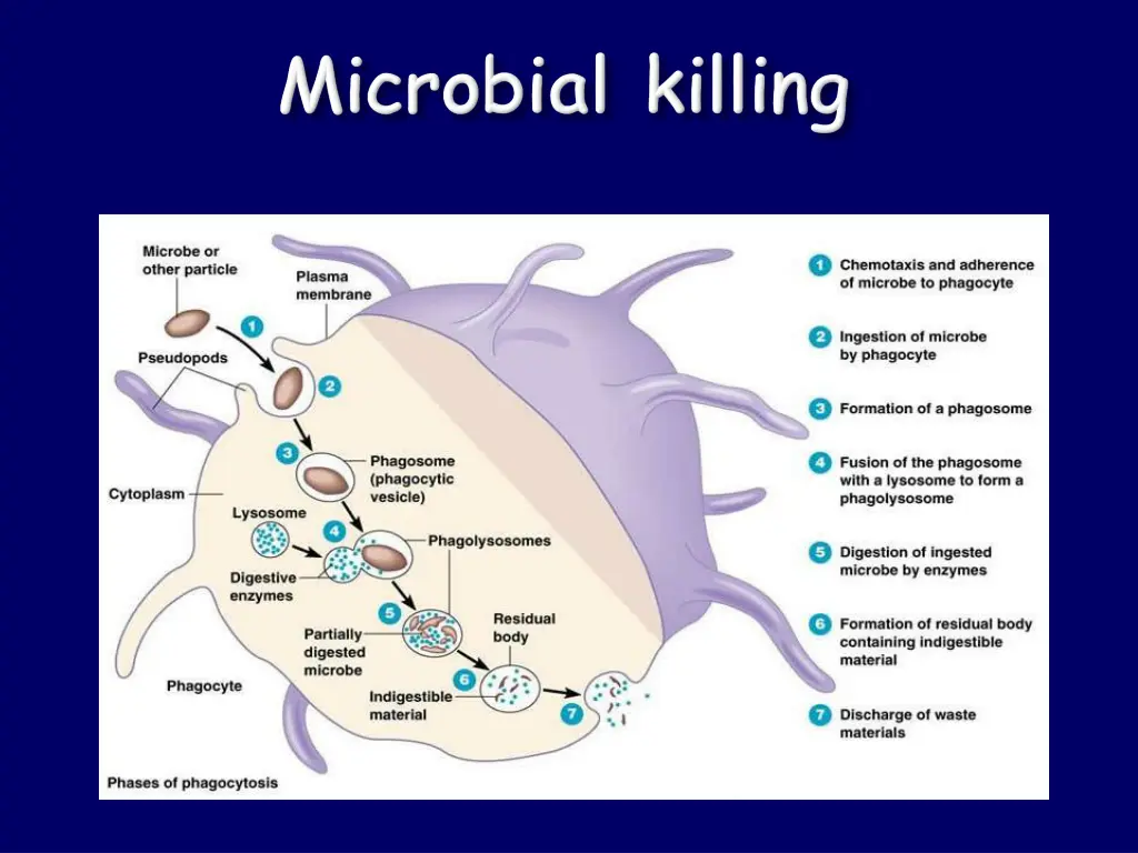 slide16