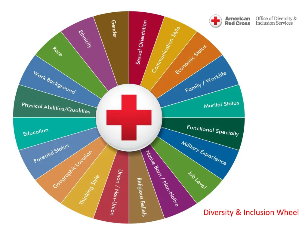 diversity inclusion wheel