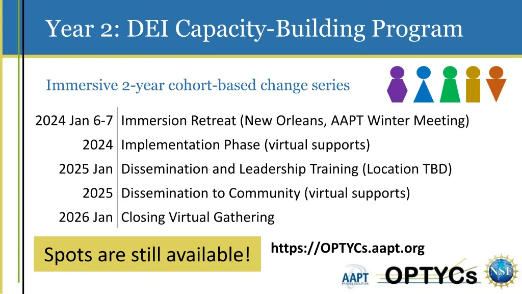 year 2 dei capacity building program