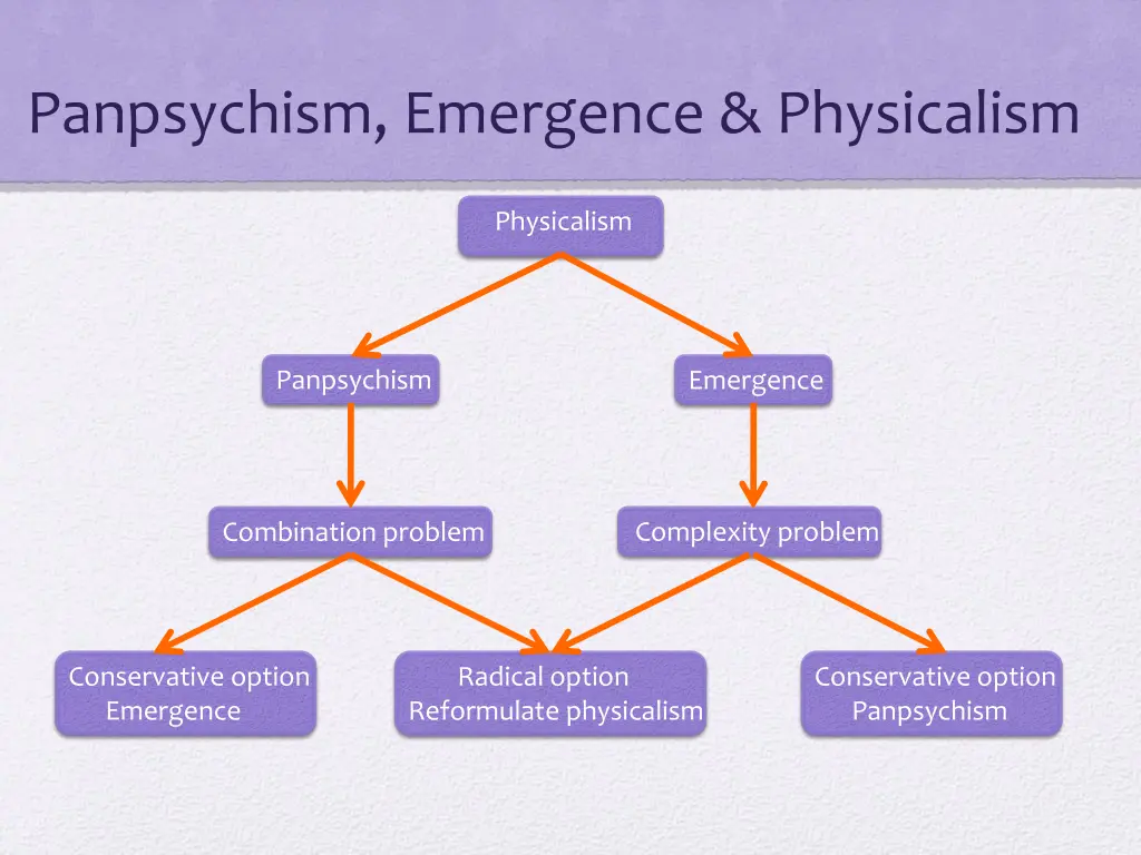 panpsychism emergence physicalism