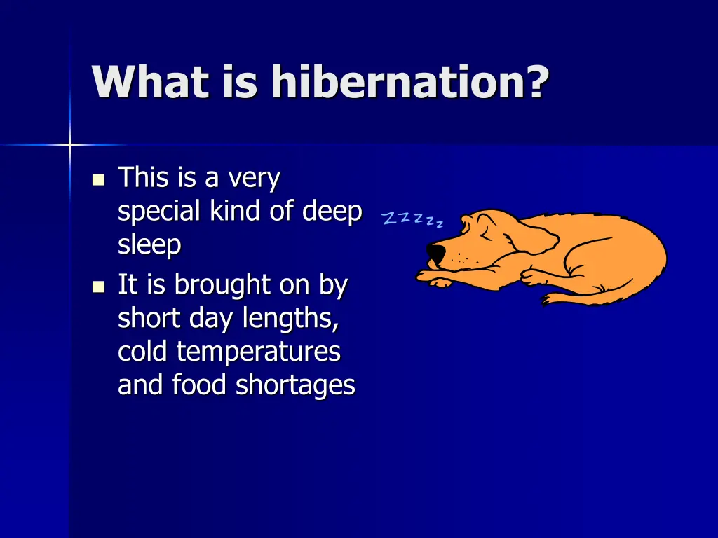 what is hibernation