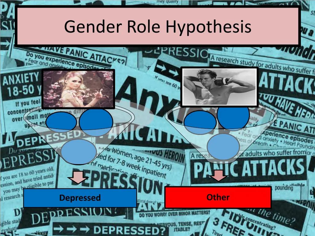 gender role hypothesis 2