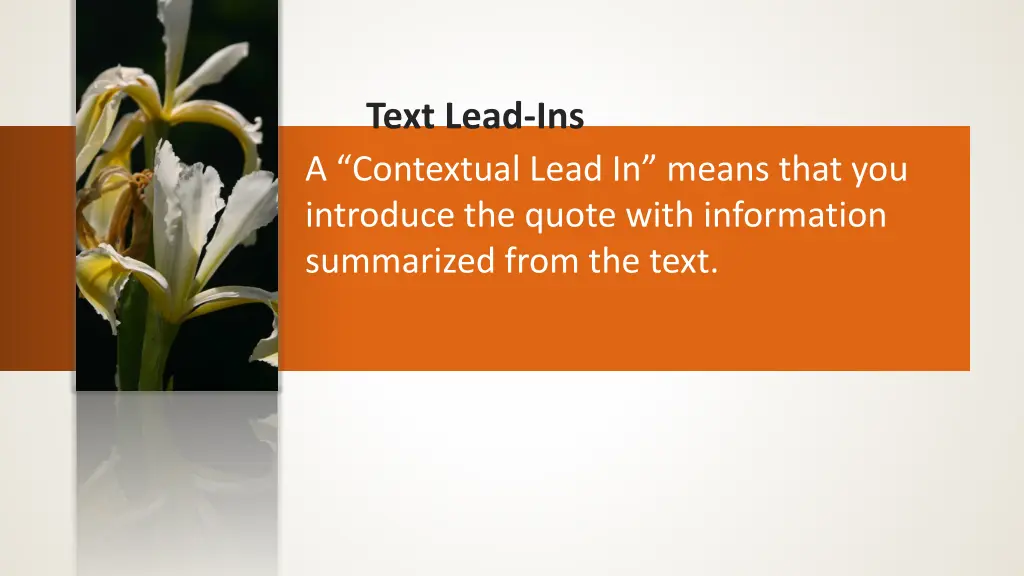 text lead ins a contextual lead in means that