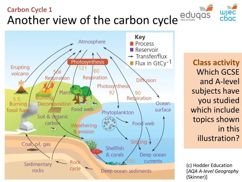 carbon cycle 1 another view of the carbon cycle