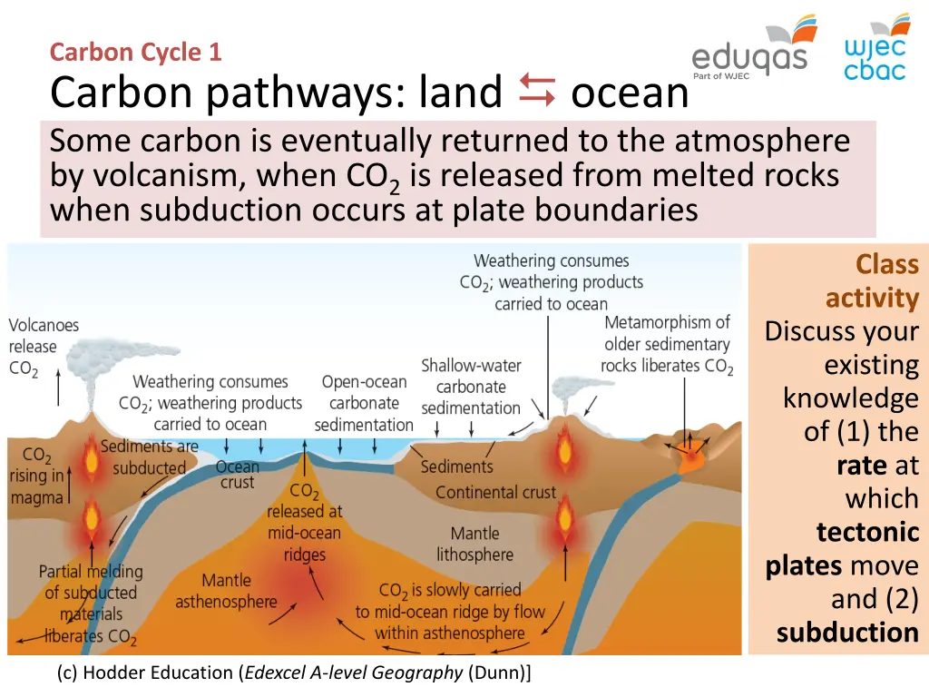 carbon cycle 1 carbon pathways land ocean some