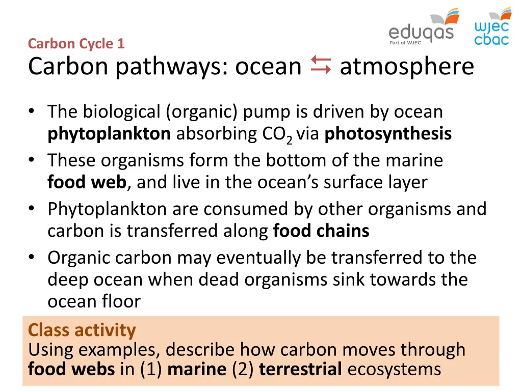 carbon cycle 1 carbon pathways ocean atmosphere 2