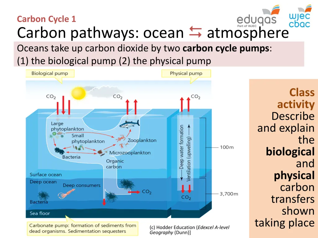 carbon cycle 1 carbon pathways ocean atmosphere