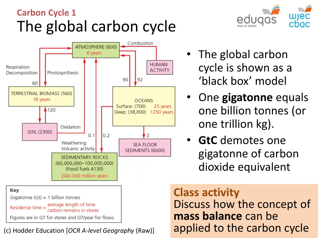 carbon cycle 1 the global carbon cycle