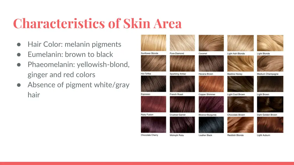 characteristics of skin area 2