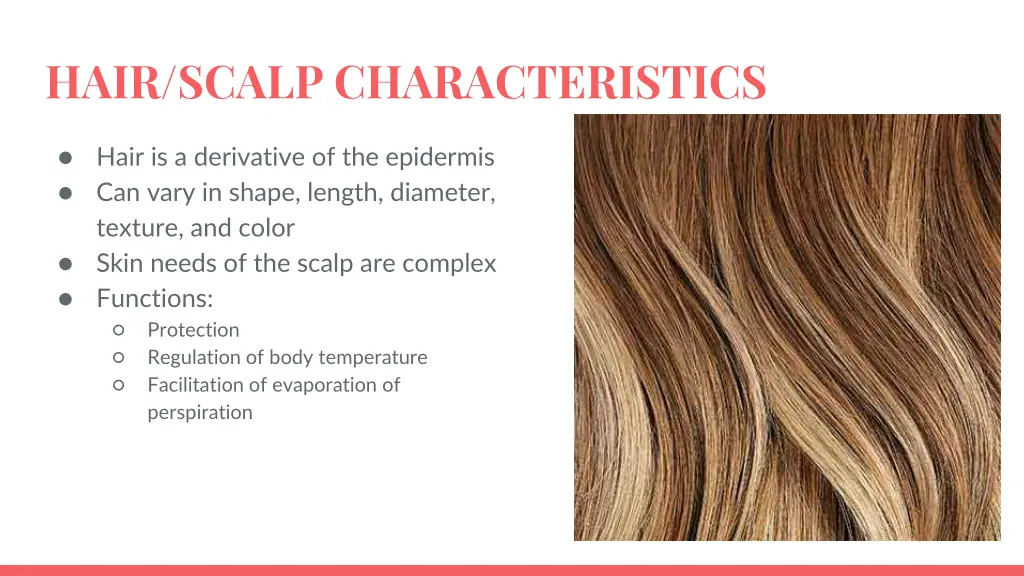 hair scalp characteristics