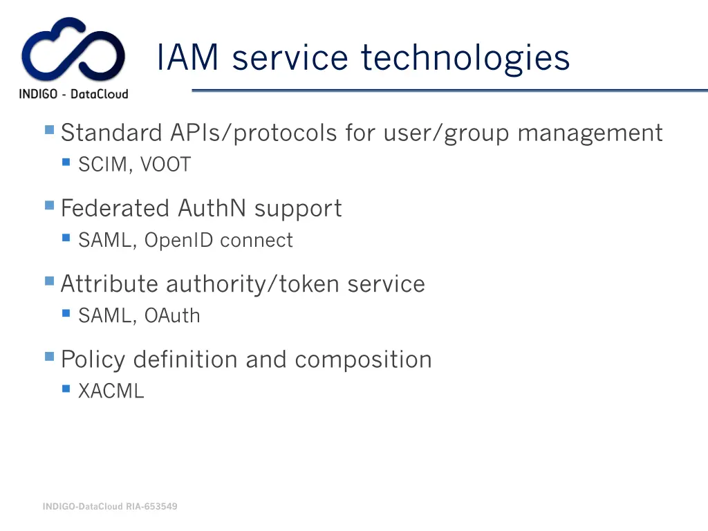 iam service technologies