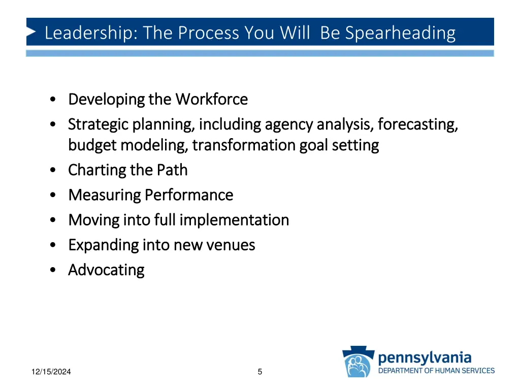 leadership the process you will be spearheading 1