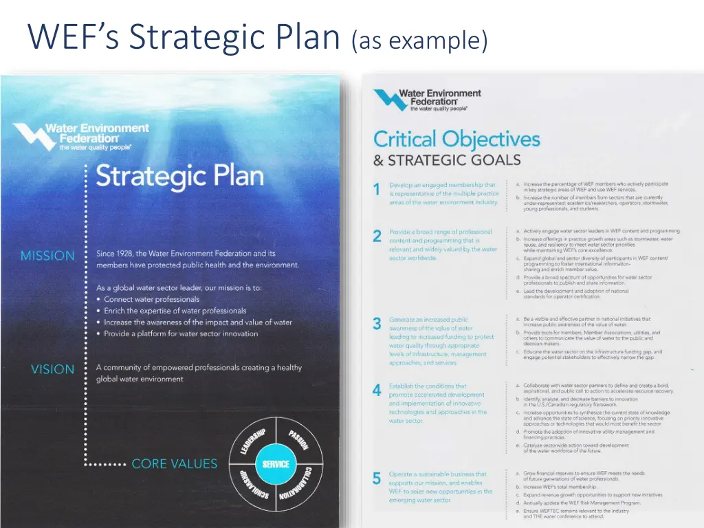 wef s strategic plan as example