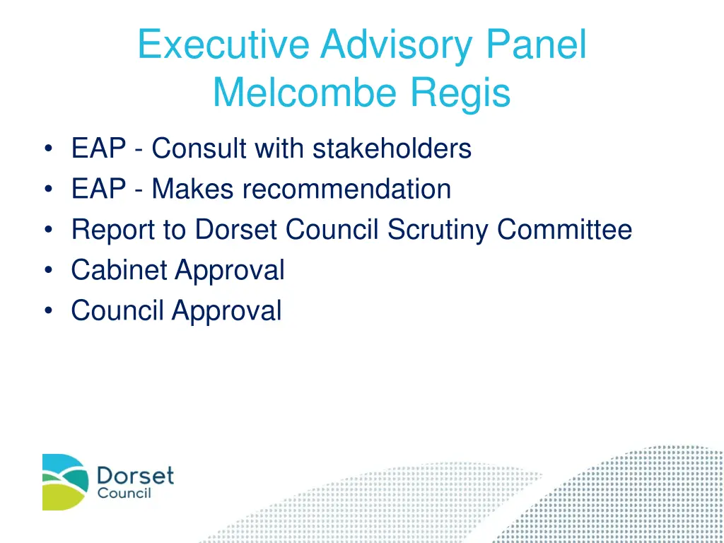 executive advisory panel melcombe regis 1