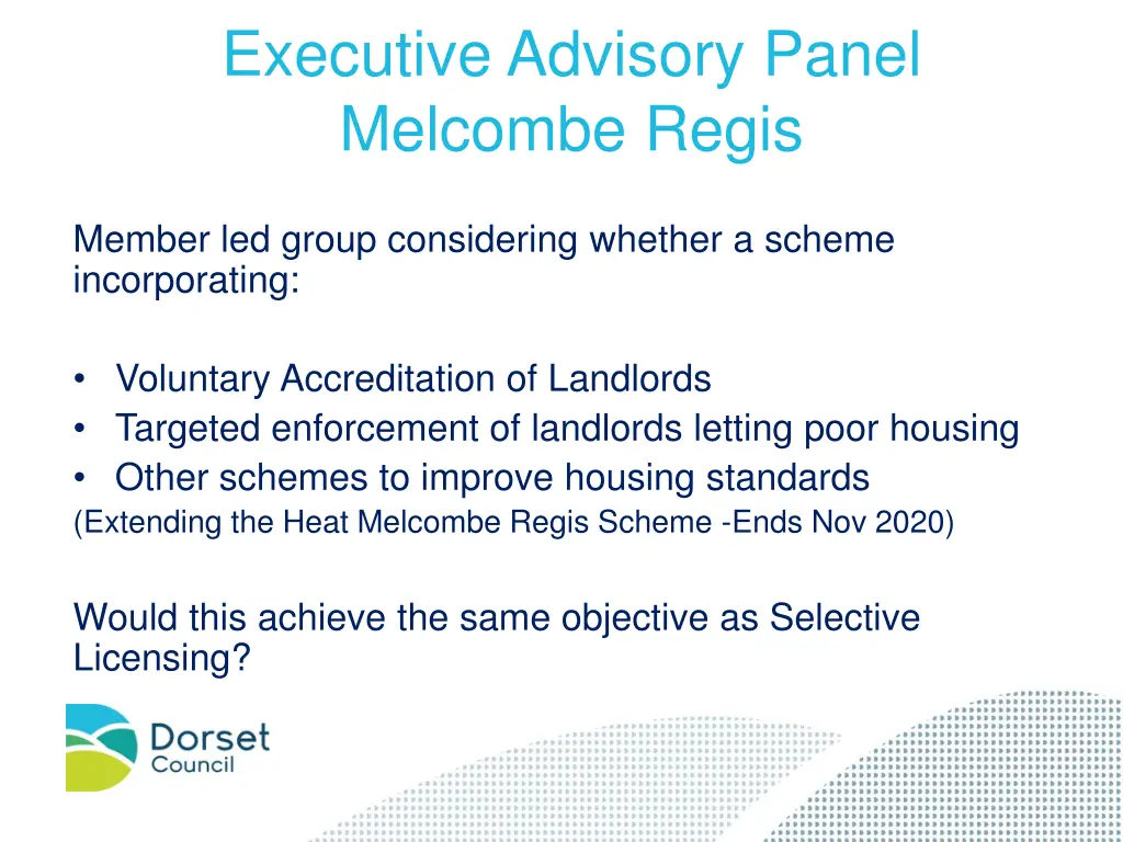 executive advisory panel melcombe regis