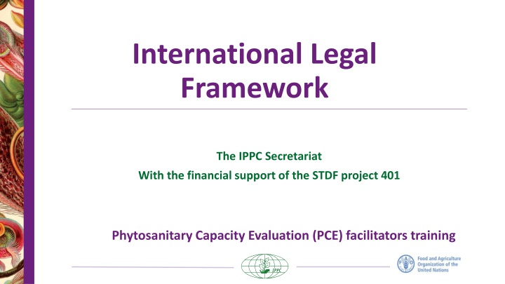 international legal framework