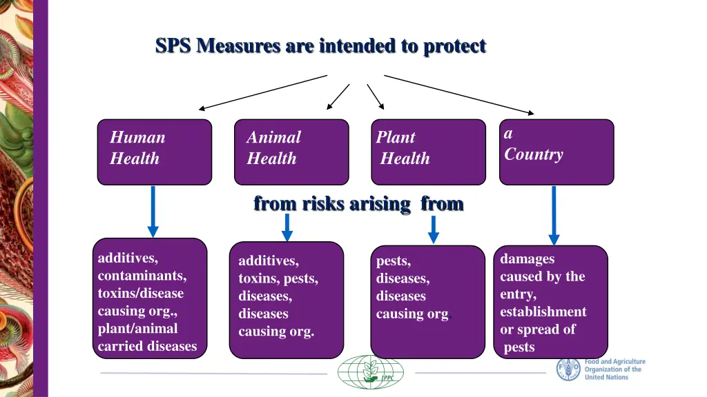 sps measures are intended to protect