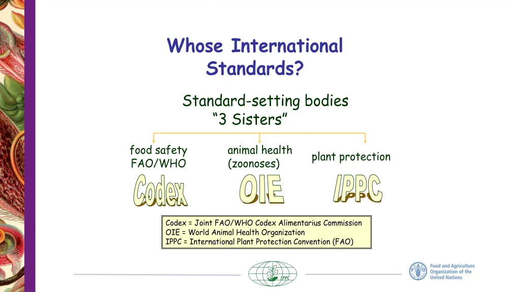 whose international standards