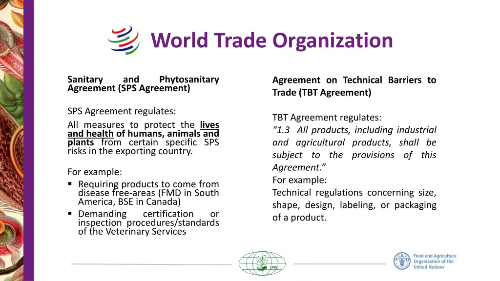 world trade organization