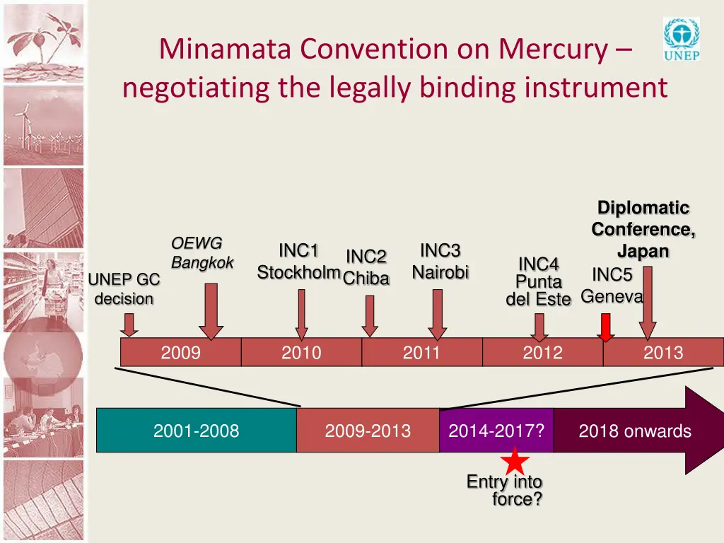 minamata convention on mercury negotiating