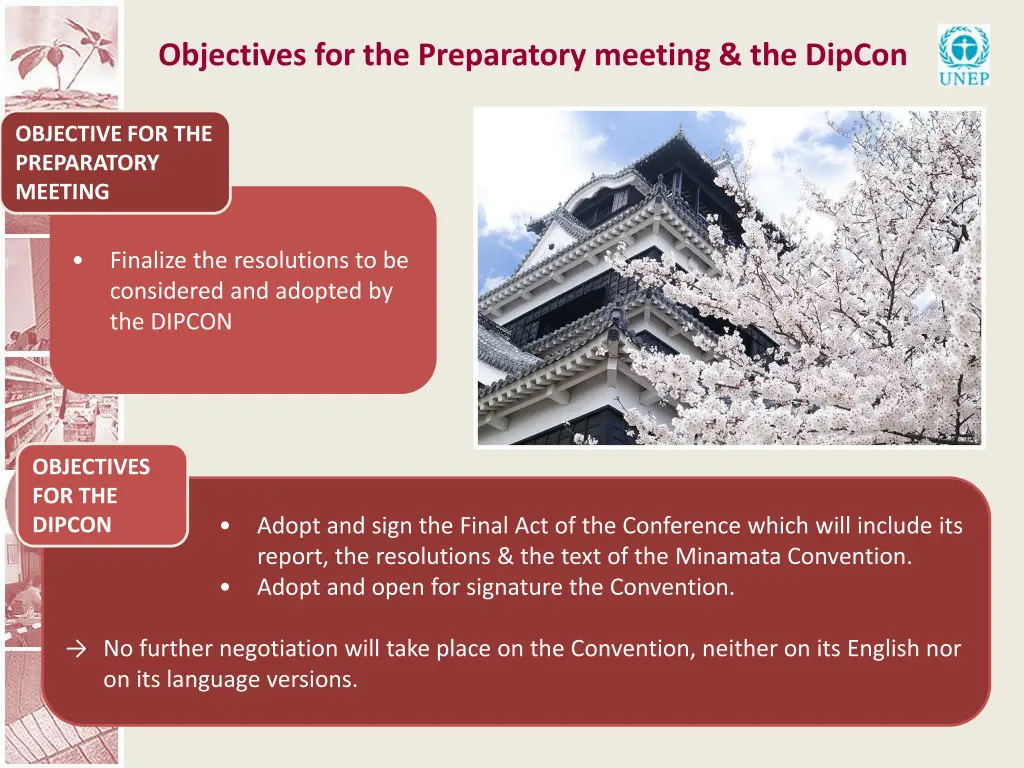 objectives for the preparatory meeting the dipcon