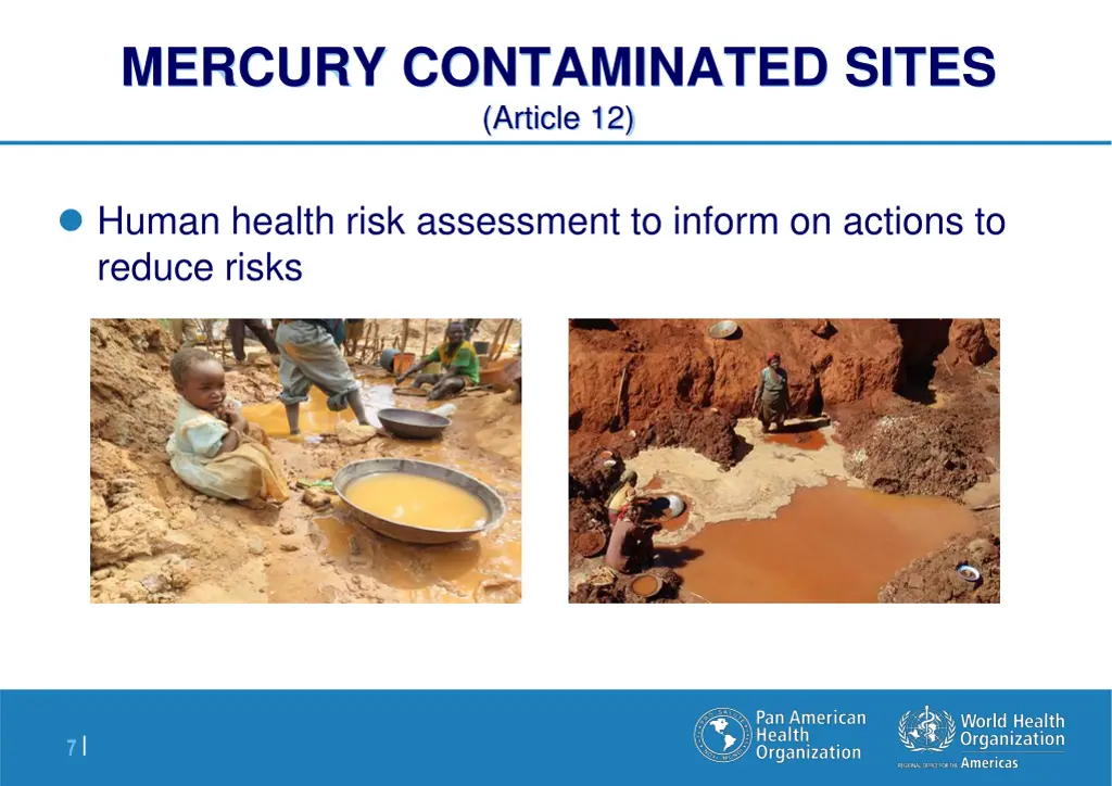 mercury contaminated sites article 12