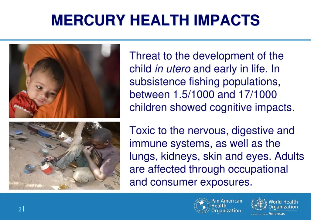 mercury health impacts