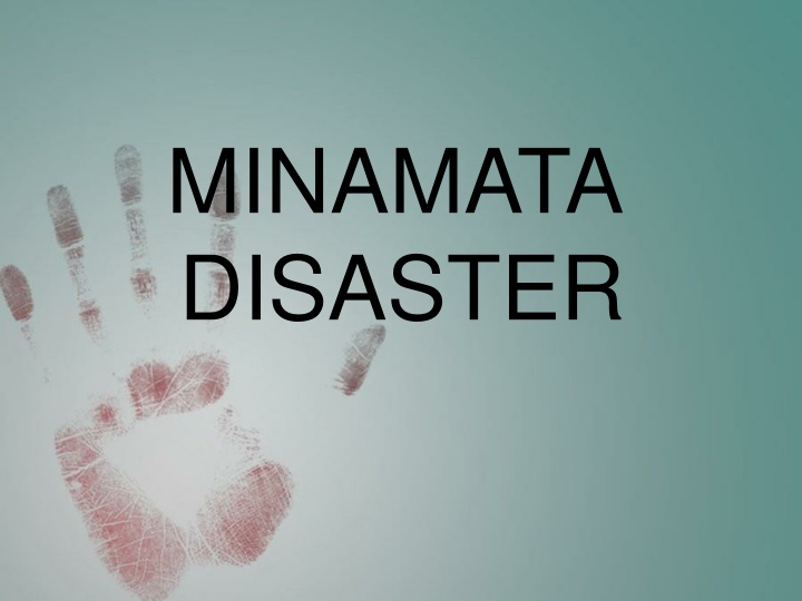 minamata disaster