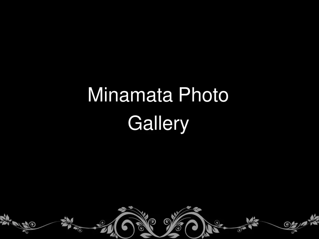 minamata photo gallery