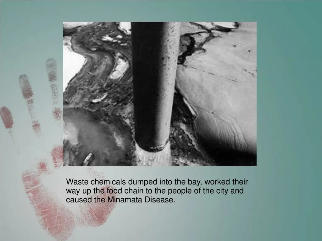 waste chemicals dumped into the bay worked their