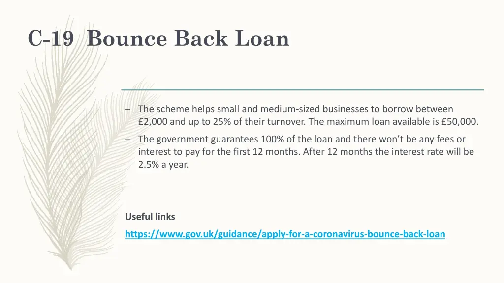 c 19 bounce back loan