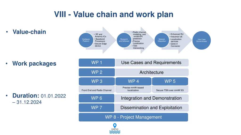 viii value chain and work plan