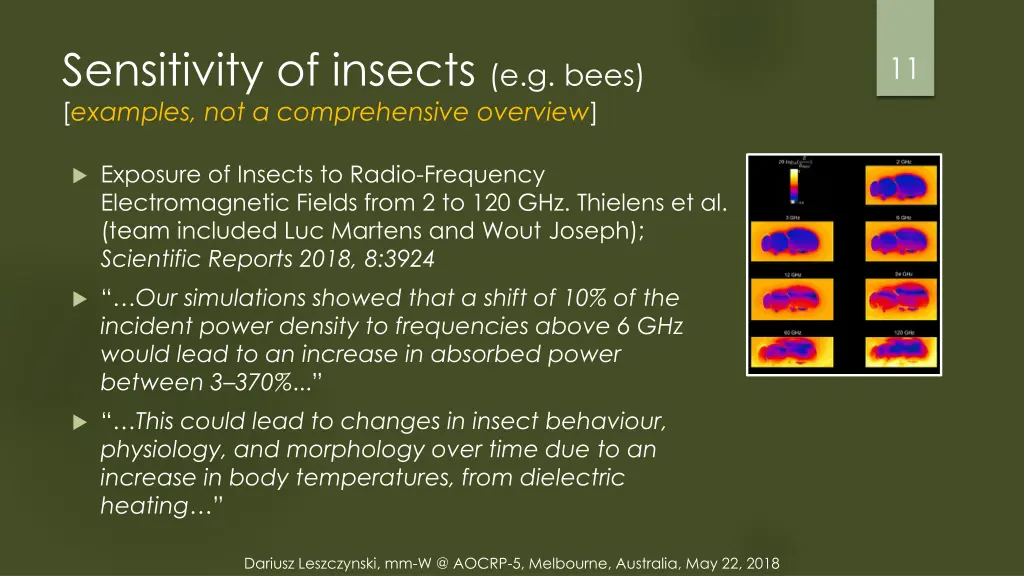 sensitivity of insects e g bees examples